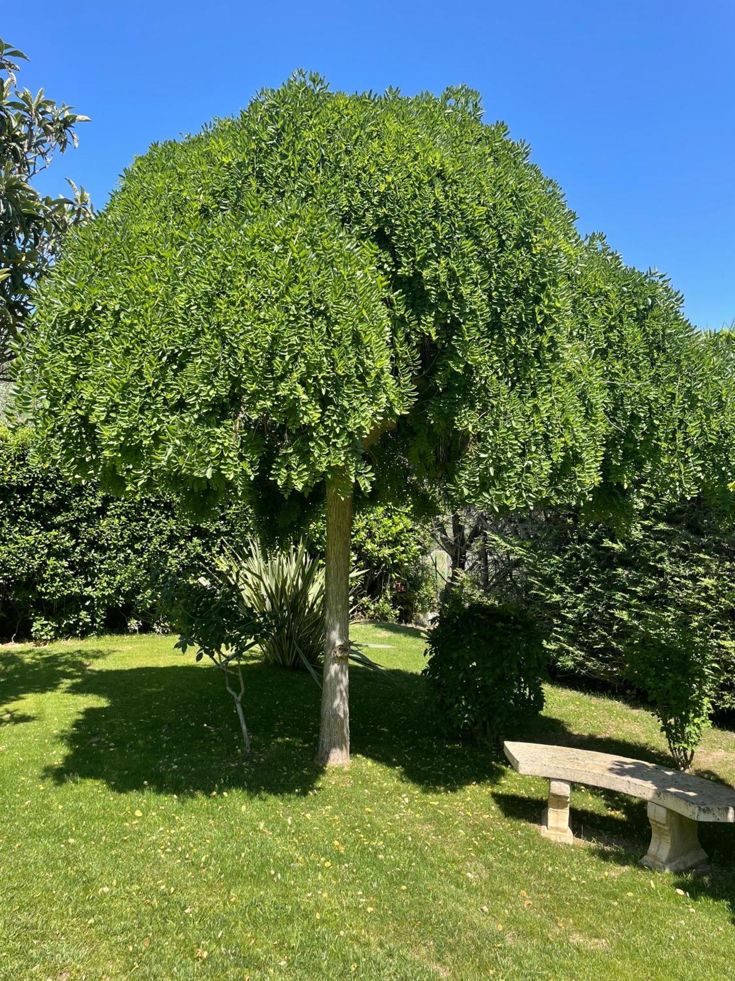 Le Clos Serein Le Beausset Exteriör bild