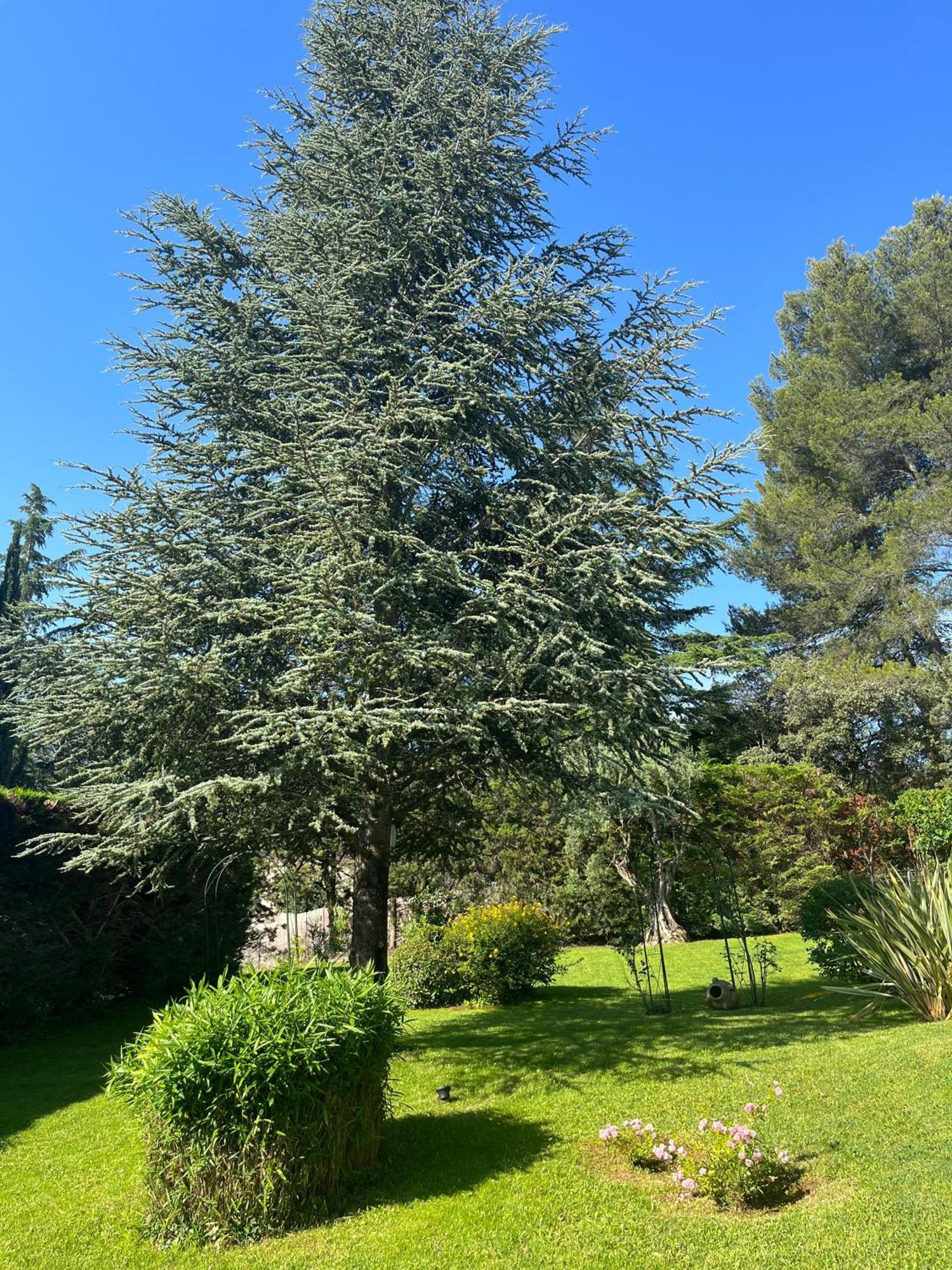 Le Clos Serein Le Beausset Exteriör bild