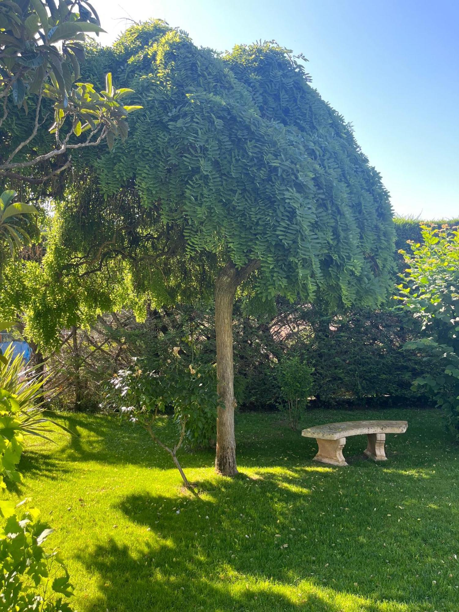 Le Clos Serein Le Beausset Exteriör bild